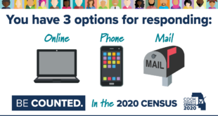 2020 Census Ways To Respond