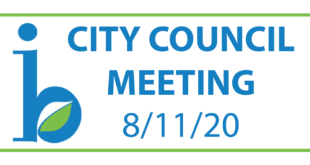 City Council August 11 2020
