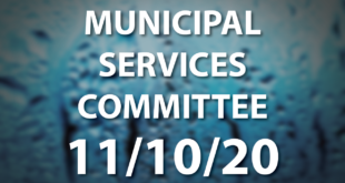 municipal services committee november 10 2020