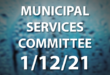 municipal services committee