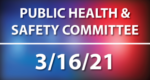 public health and safety committee