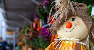 scarecrow decorating